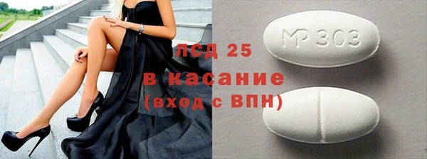 прущие грибы Магадан