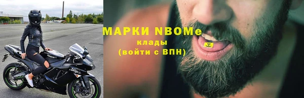 прущие грибы Магадан