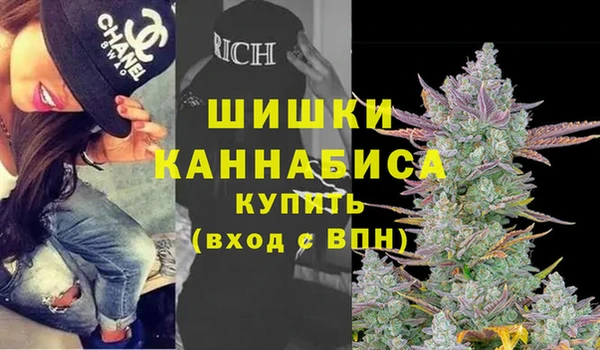 прущие грибы Магадан