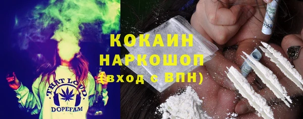 прущие грибы Магадан