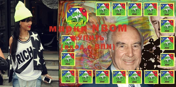 прущие грибы Магадан