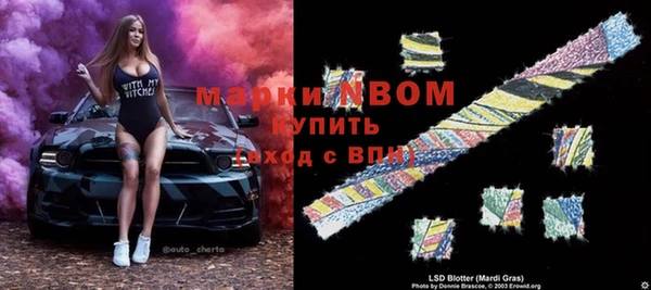 прущие грибы Магадан