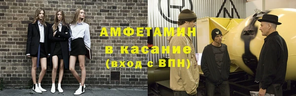 прущие грибы Магадан