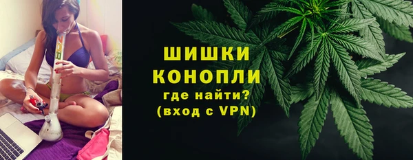 прущие грибы Магадан